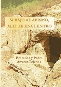 bokomslag Si bajo al abismo, allí te encuentro