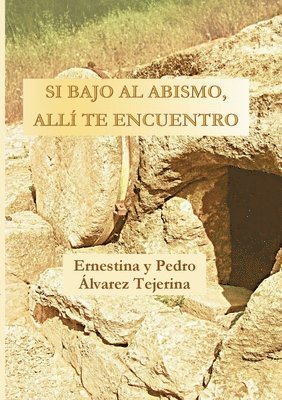 bokomslag Si bajo al abismo, allí te encuentro