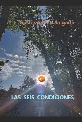 bokomslag seis condiciones