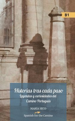 bokomslag Historias tras cada paso