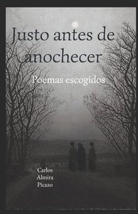 bokomslag Justo antes de anochecer: Poemas escogidos