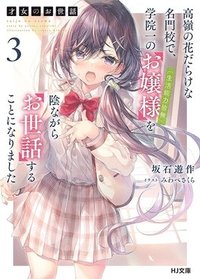 bokomslag Rich Girl Caretaker 3: Volume 3