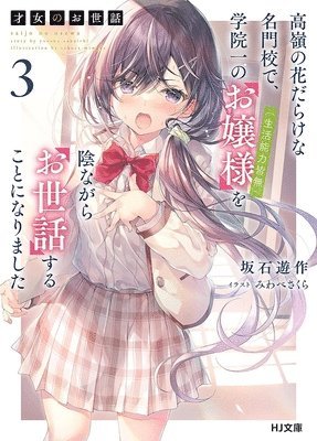 bokomslag Rich Girl Caretaker 3: Volume 3
