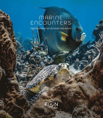 bokomslag Hussain Aga Khan: Marine Encounters