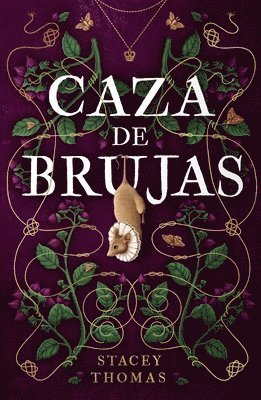 bokomslag Caza de Brujas