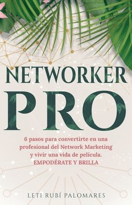 NetworkerPRO 1