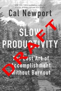 bokomslag Slow Productivity (Slow Productivity Spanish Edition)