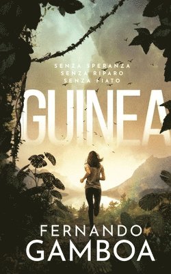 Fernando Gamboa - Guinea, Häftad