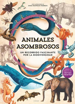 bokomslag Animales Asombrosos. Un Recorrido Fascinante Por La Biodiversidad / Amazing Animals: A Fascinating Journey Through Biodiversity