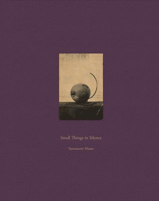 bokomslag Masao Yamamoto: Small Things in Silence