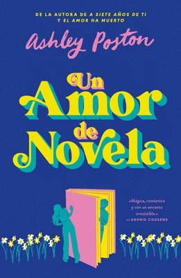 bokomslag Un Amor de Novela