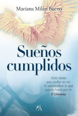 bokomslag Sueños Cumplidos