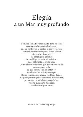 bokomslag Elegía a un Mar muy profundo