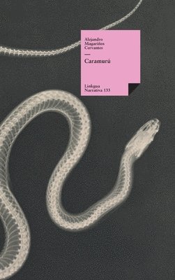 Alejandro Magariños Cervantes - Caramurú, Inbunden