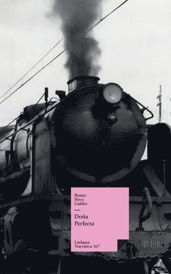 Doña Perfecta