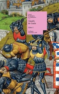 bokomslag Amadís de Gaula