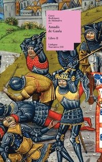 bokomslag Amadís de Gaula