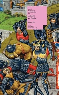bokomslag Amadís de Gaula