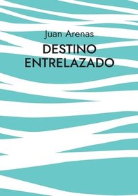 bokomslag Destino Entrelazado