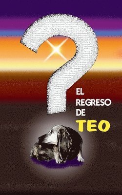 David Vicente Cardós - regreso de Teo, Häftad