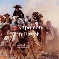 bokomslag Napoleon In Egypt