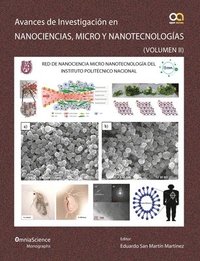 bokomslag Avances en investigación en Nanociencias, Micro y Nanotecnologías (Vol II)