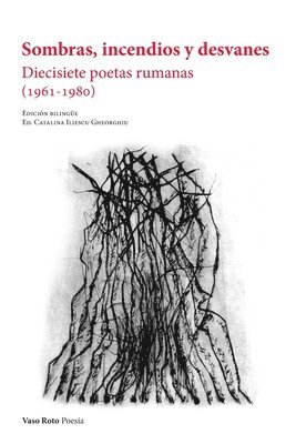 Sombras, incendios y desvanes