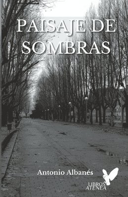 bokomslag Paisaje de sombras