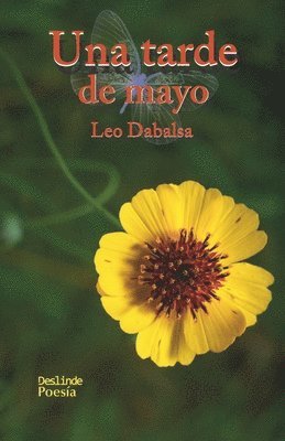 tarde de mayo