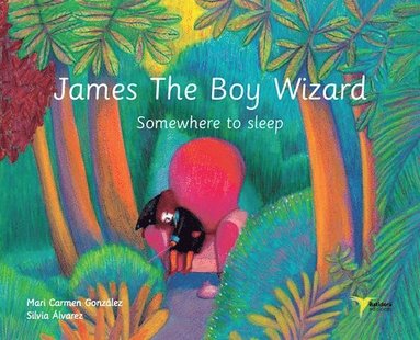 bokomslag James The Boy Wizard