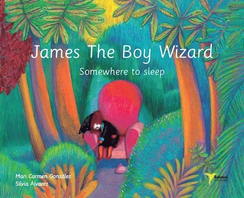 James The Boy Wizard 1