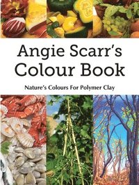 bokomslag Angie Scarr's Colour Book