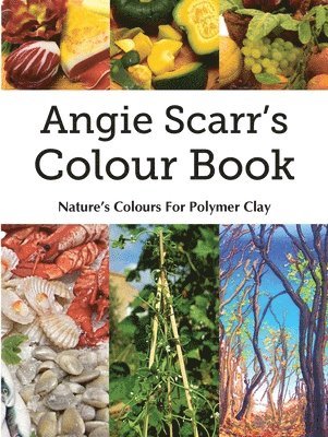 Angie Scarr's Colour Book 1