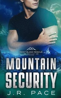 bokomslag Mountain Security
