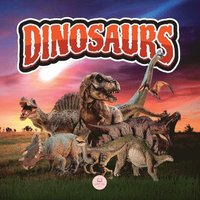 bokomslag The World of Dinosaurs for Kids