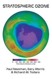 bokomslag Stratospheric Ozone