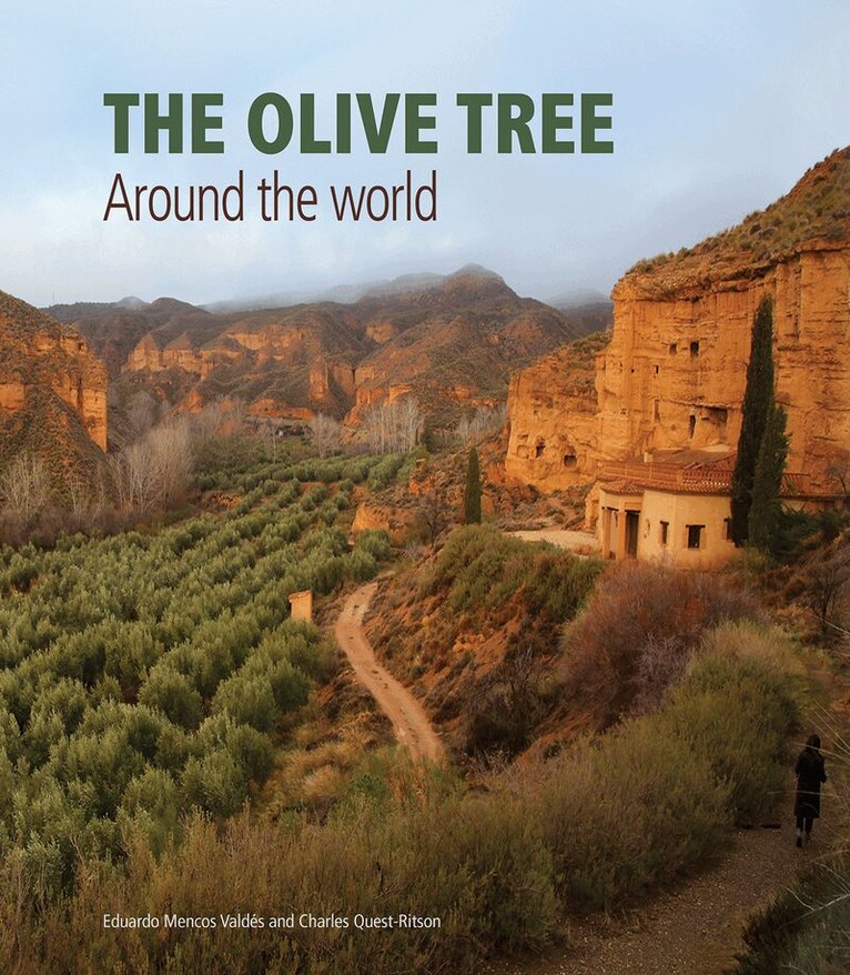 Charles Quest-Ritson - Olive Tree, Inbunden. Tillgänglighet: Tillfälligt slut