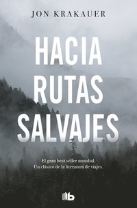 bokomslag Hacia Rutas Salvajes / Into the Wild