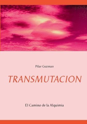 Transmutacion 1