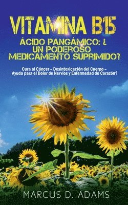 Vitamina B15 - cido Pangmico 1