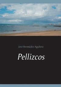 bokomslag Pellizcos