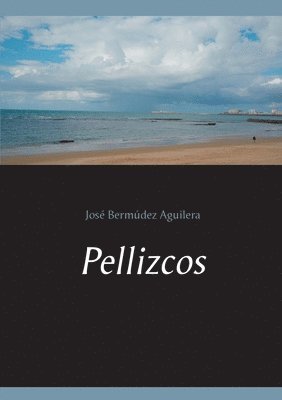 bokomslag Pellizcos