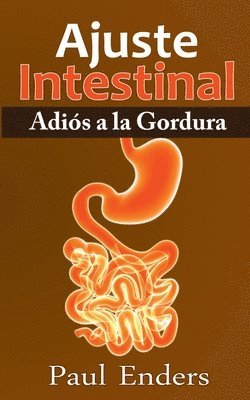 bokomslag Ajuste Intestinal - Adis a la Gordura