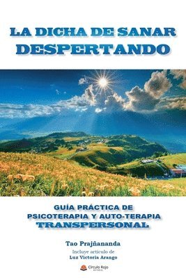 bokomslag La Dicha de Sanar Despertando: Guia Práctica de Psicoterapia y Autoterapia Transpersonal