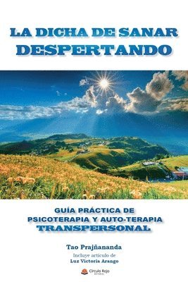 bokomslag La Dicha de Sanar Despertando: Guia Práctica de Psicoterapia y Autoterapia Transpersonal