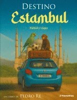 bokomslag Destino Estambul