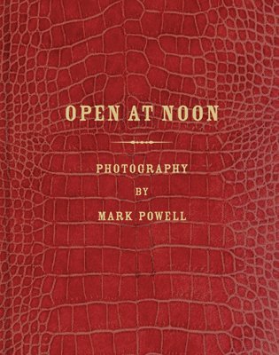 Mark Alor Powell: Open at Noon