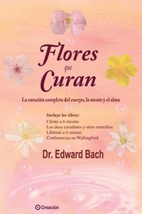 bokomslag Flores que curan