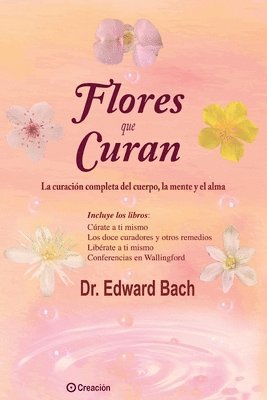 bokomslag Flores que curan