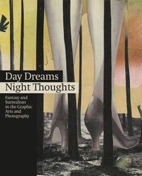 bokomslag Day Dreams Night Thoughts: Fantasy and Surrealism in the Graphic Arts and Photography